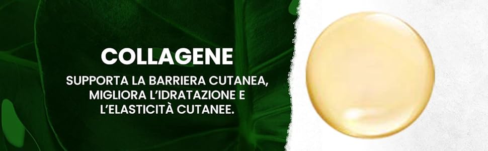 Crema Viso Antirughe – Anti Età Naturale per Rughe | Sapiens Shop