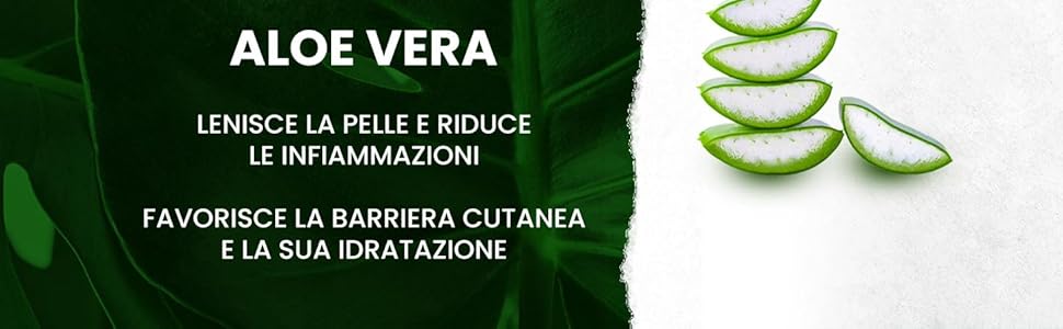 Crema Viso Antirughe – Anti Età Naturale per Rughe | Sapiens Shop